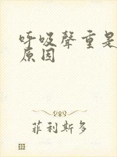 呼吸声重是什么原因
