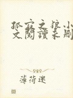 孤寂之狼小说全文阅读未删减版