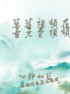 草莓视频在线观看免费视频播放