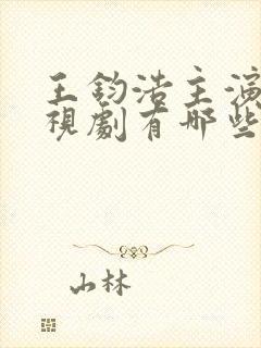 王钧浩主演的电视剧有哪些