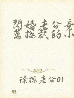 闪婚老公竟是亿万总裁的小说