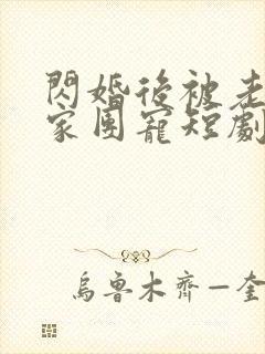 闪婚后被老公全家团宠短剧在线