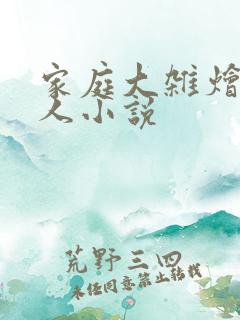 家庭大杂烩一家人小说