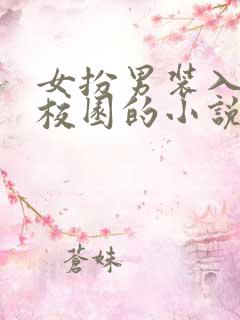 女扮男装入男寝校园的小说
