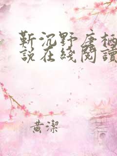 靳沉野唐栖雾小说在线阅读
