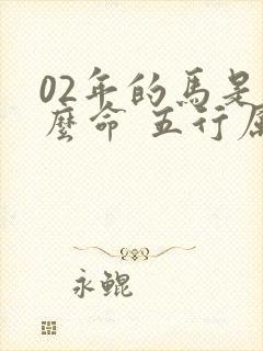 02年的马是什么命 五行属什么