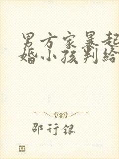 男方家暴起诉离婚小孩判给谁