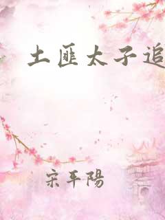 土匪太子追妻