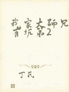我家大师兄脑子有坑第2