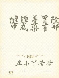 健脾养胃除湿的中成药有哪些