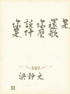 你说你还是爱我是什么歌