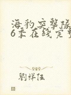 海豹突击队 第6季在线完整版
