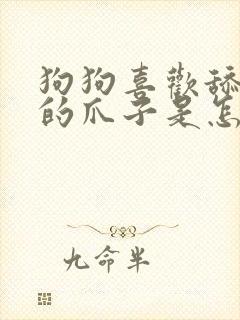 狗狗喜欢舔自己的爪子是怎么回事