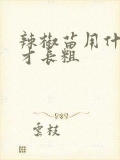 辣椒苗用什么肥才长粗