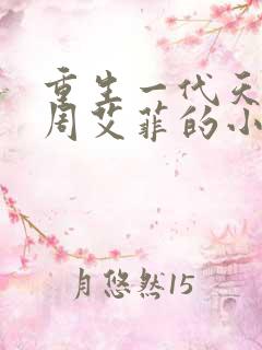 重生一代天后归周艾菲的小说笔趣阁
