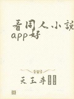 看同人小说哪个app好