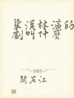 巩汉林演的谍战剧叫什么