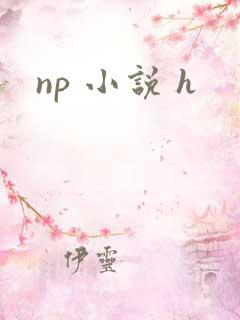 np 小说 h