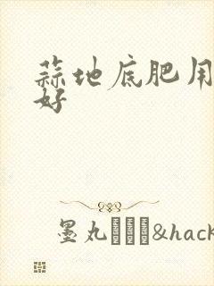 蒜地底肥用什么好