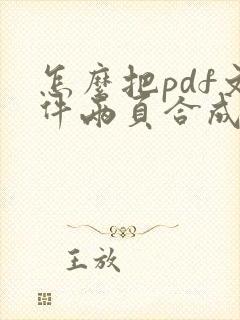 怎么把pdf文件两页合成一页