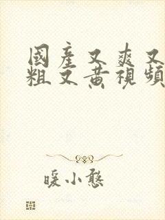 国产又爽又猛又粗又黄视频