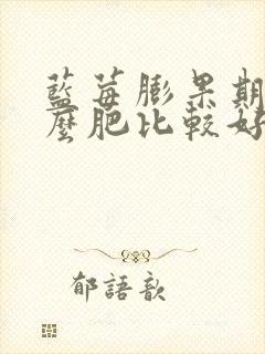 蓝莓膨果期施什么肥比较好