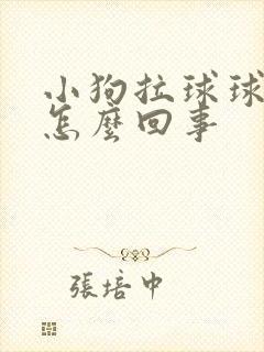 小狗拉球球粑粑怎么回事