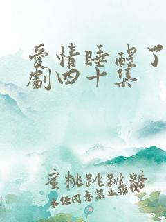 爱情睡醒了连续剧四十集