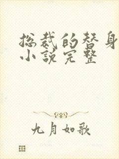 总裁的替身前妻小说完整
