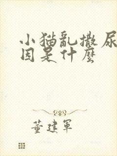 小猫乱撒尿的原因是什么
