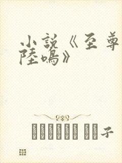 小说《至尊神殿陆鸣》