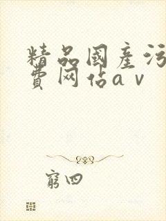 精品国产污污免费网站aⅴ
