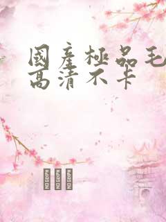 国产极品毛片v高清不卡