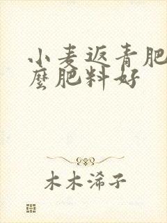 小麦返青肥用什么肥料好