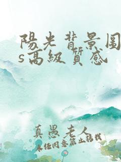 阳光背景图ins高级质感