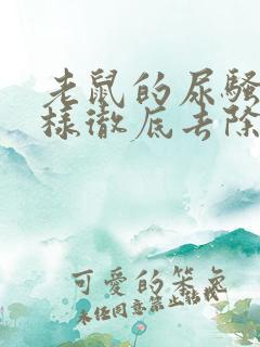 老鼠的尿骚味怎样彻底去除