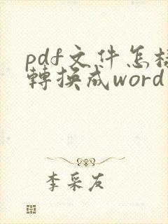 pdf文件怎样转换成word文件
