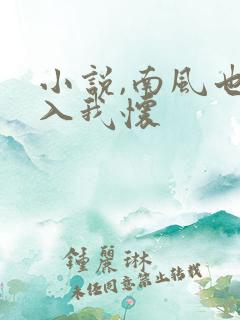 小说,南风也曾入我怀