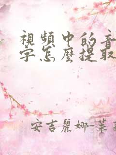 视频中的音频文字怎么提取出来