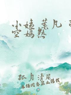 小姨 叶凡 司空嫣然
