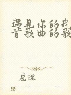 遇见你的我是哪首歌曲的歌词
