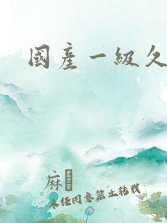 国产一级久久久