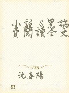小说《黑锅》免费阅读全文