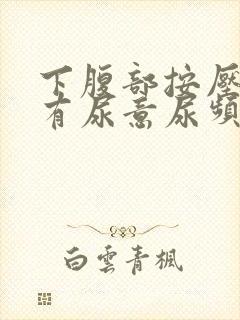 下腹部按压疼痛有尿意尿频
