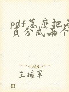 pdf怎么把两页分成两个文件