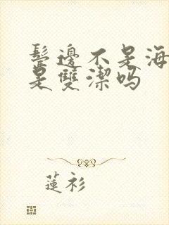 鬓边不是海棠红是双洁吗