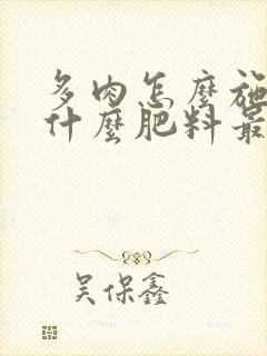 多肉怎么施肥施什么肥料最好