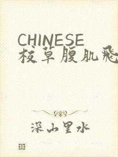CHINESE校草腹肌飞机视频