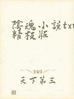 阴魂小说txt精校版