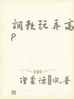 调教玩弄高hnp